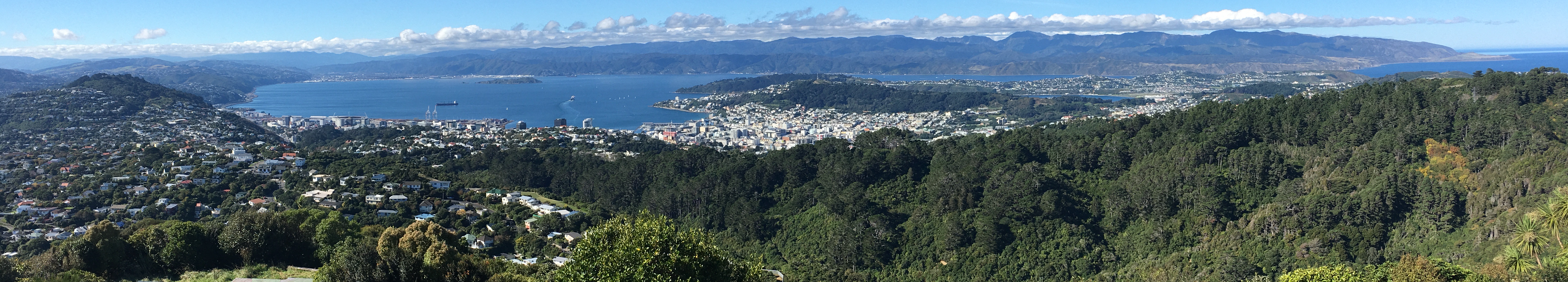 Wgtn